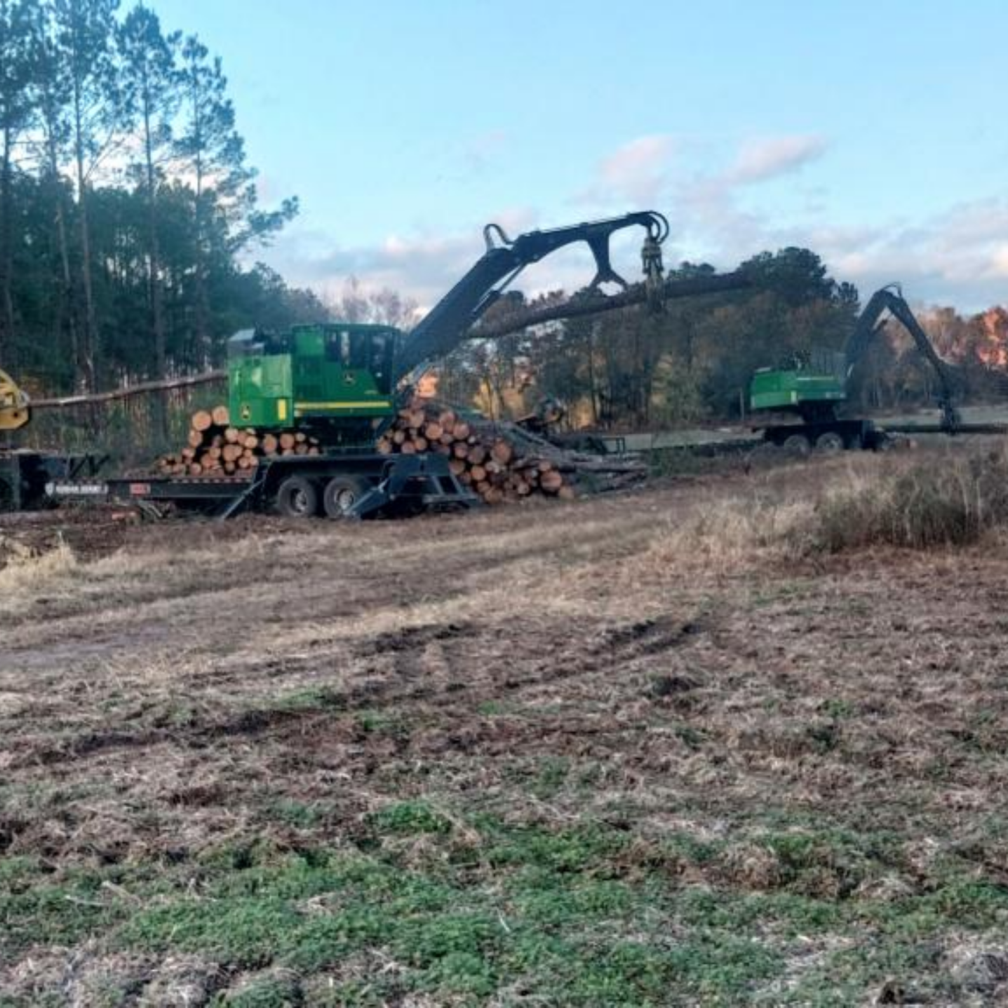 NOLE BOYS LOGGING LLC