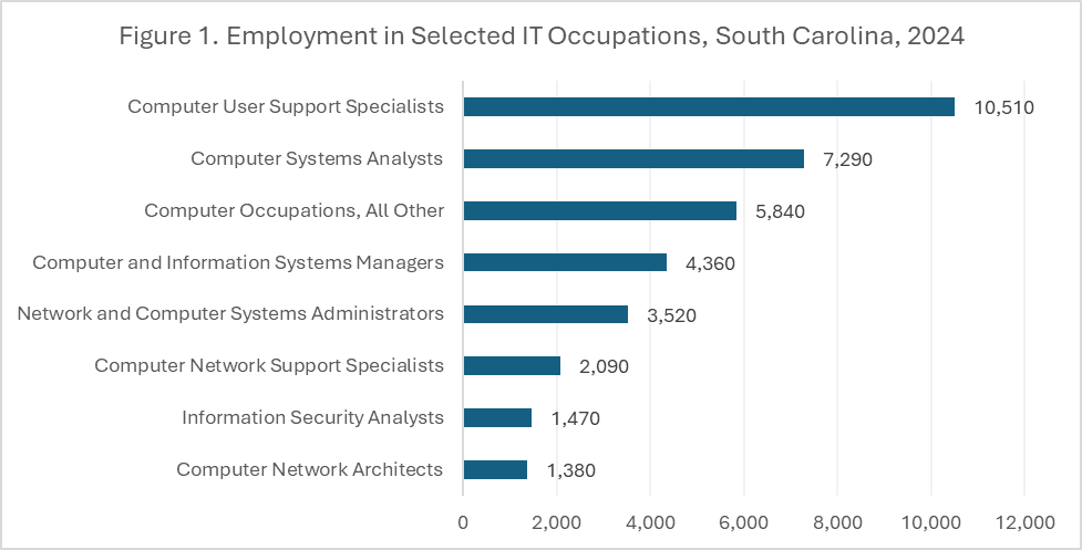 Employment in Selected IT Occupations
