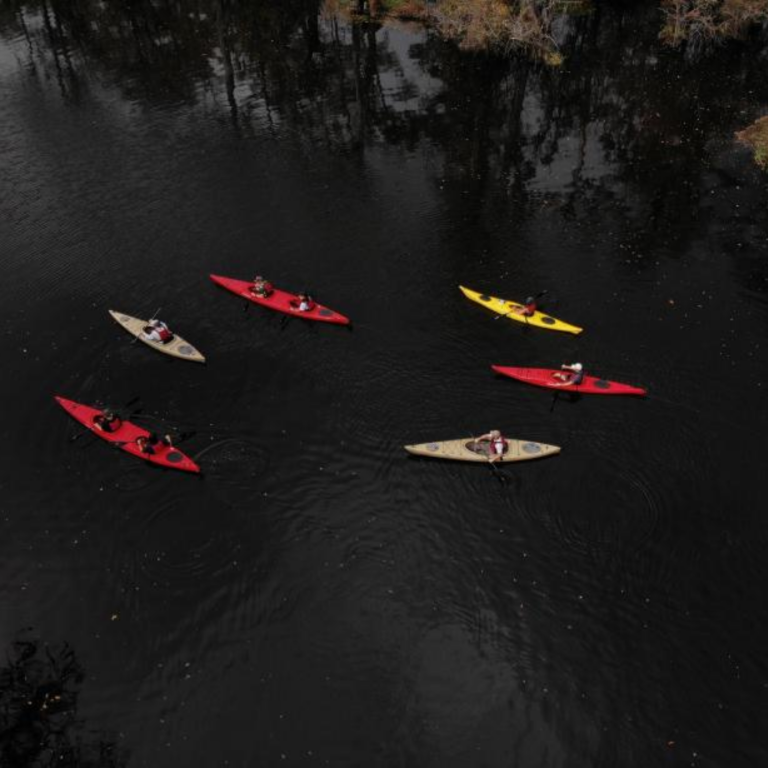 Lowcountry Land Trust 