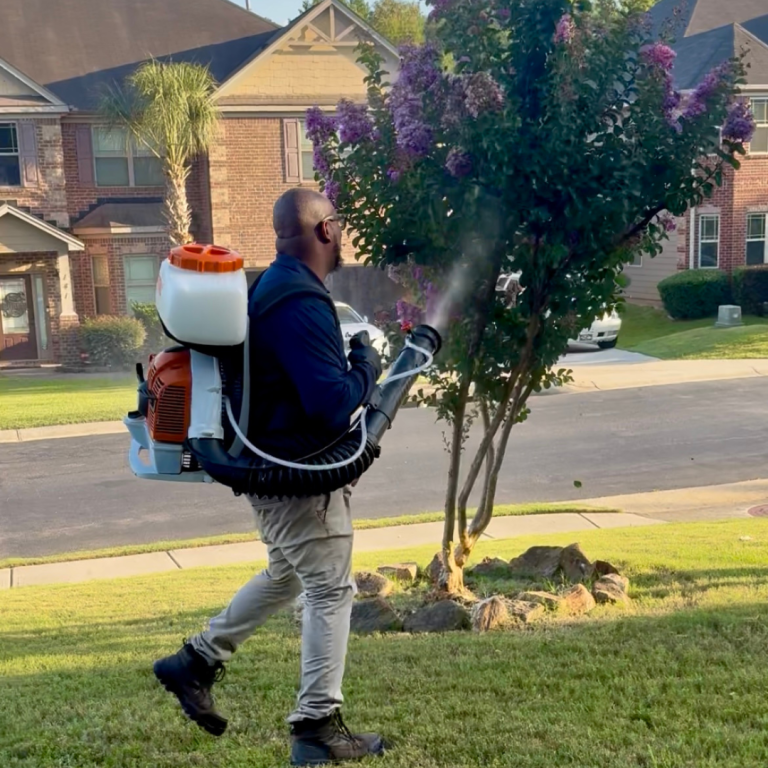 Pestora Pest Control 